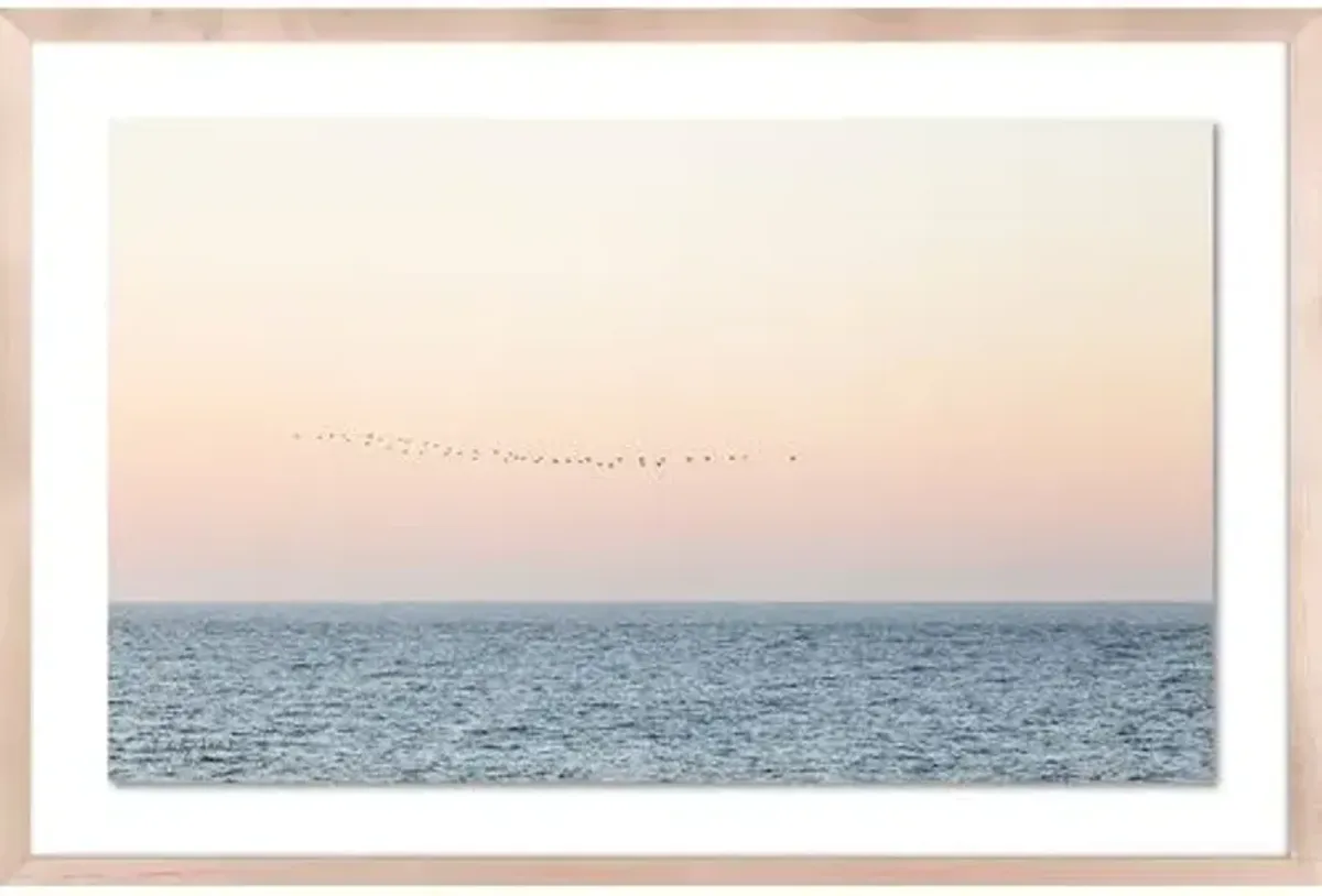 Carly Tabak - Sunset Flock