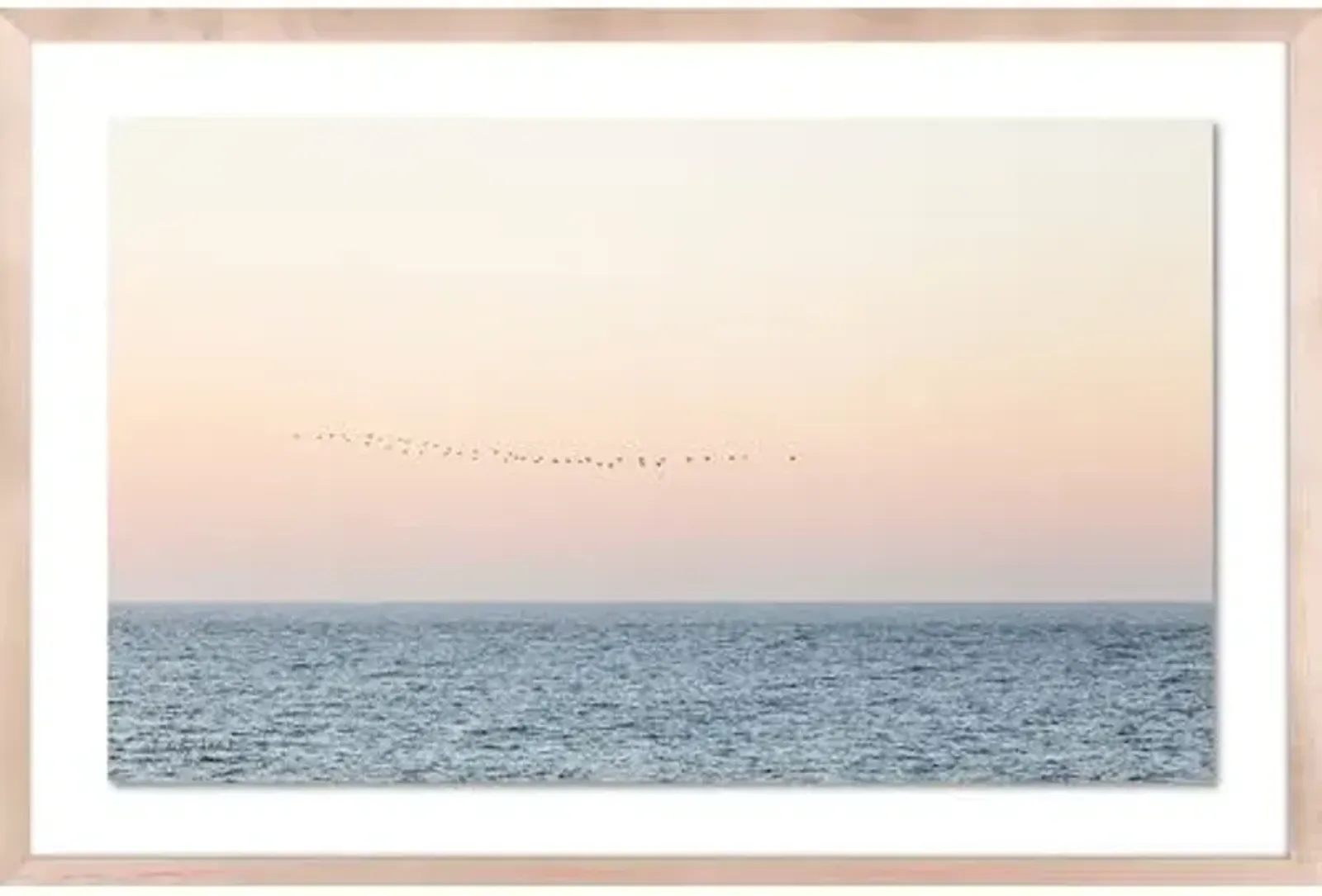 Carly Tabak - Sunset Flock