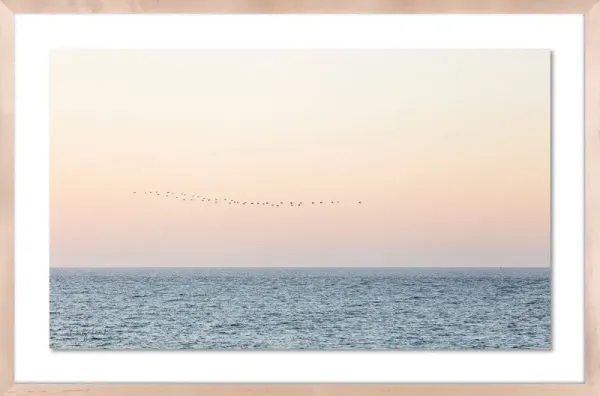 Carly Tabak, Sunset Flock Photograph