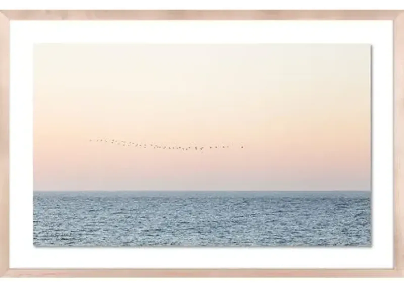 Carly Tabak - Sunset Flock