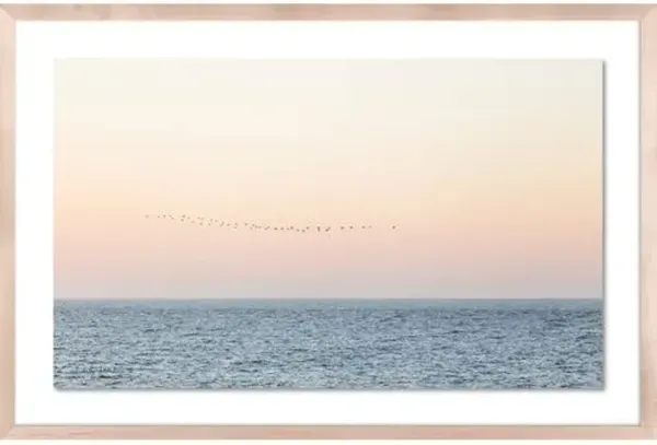 Carly Tabak - Sunset Flock Photograph