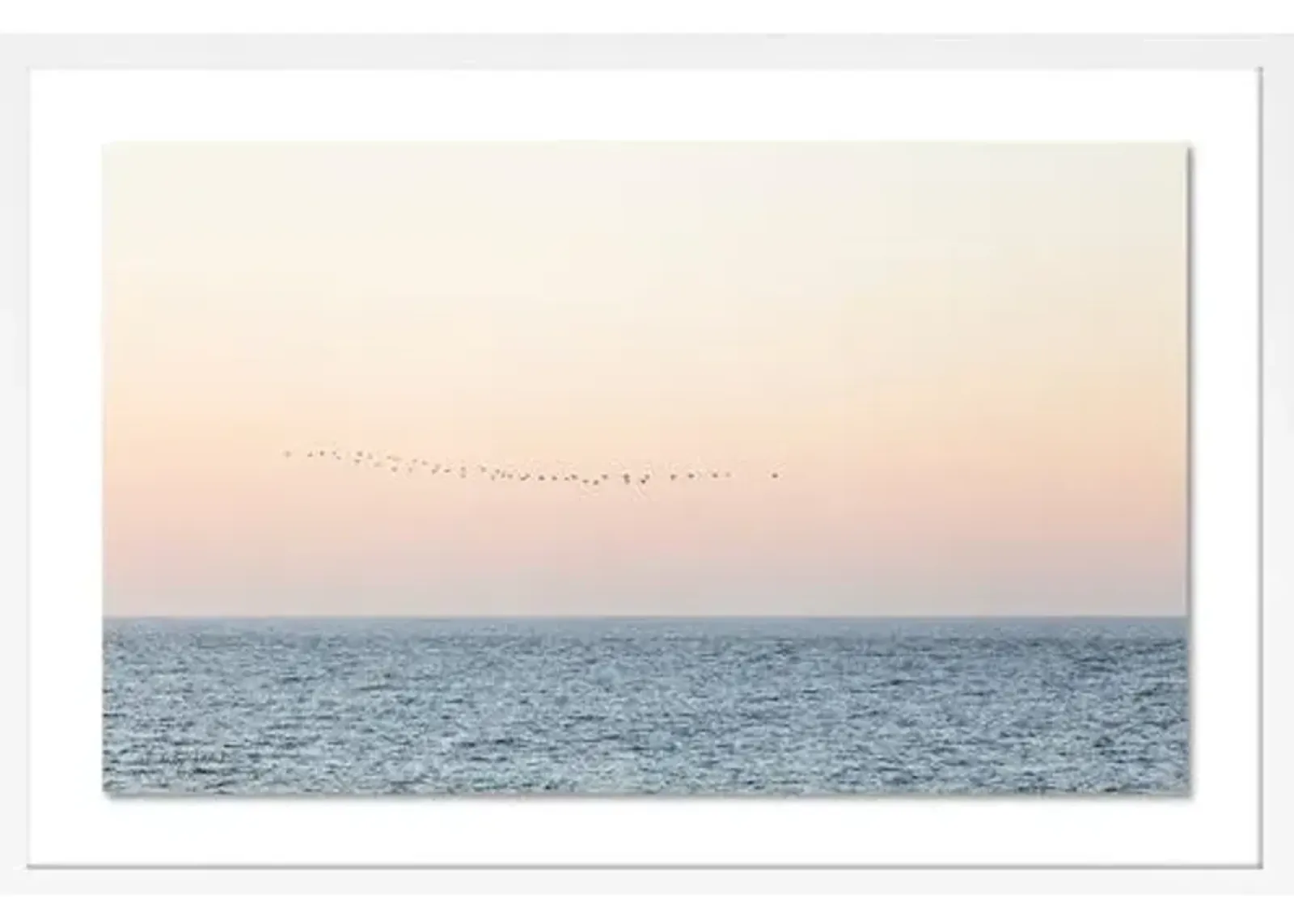 Carly Tabak - Sunset Flock