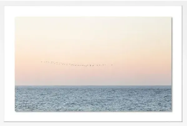 Carly Tabak - Sunset Flock Photograph