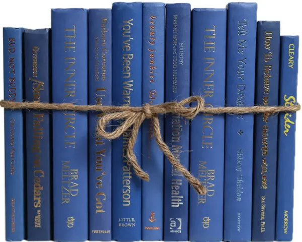 1-Foot Decorative Book Bundle, Blue Jay