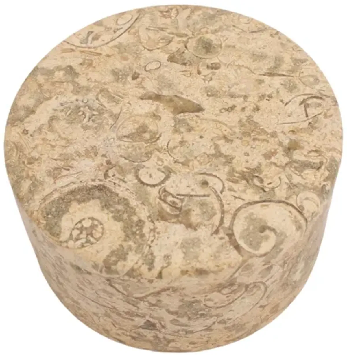 Fossil Stone Box - G3Q Designs - Beige