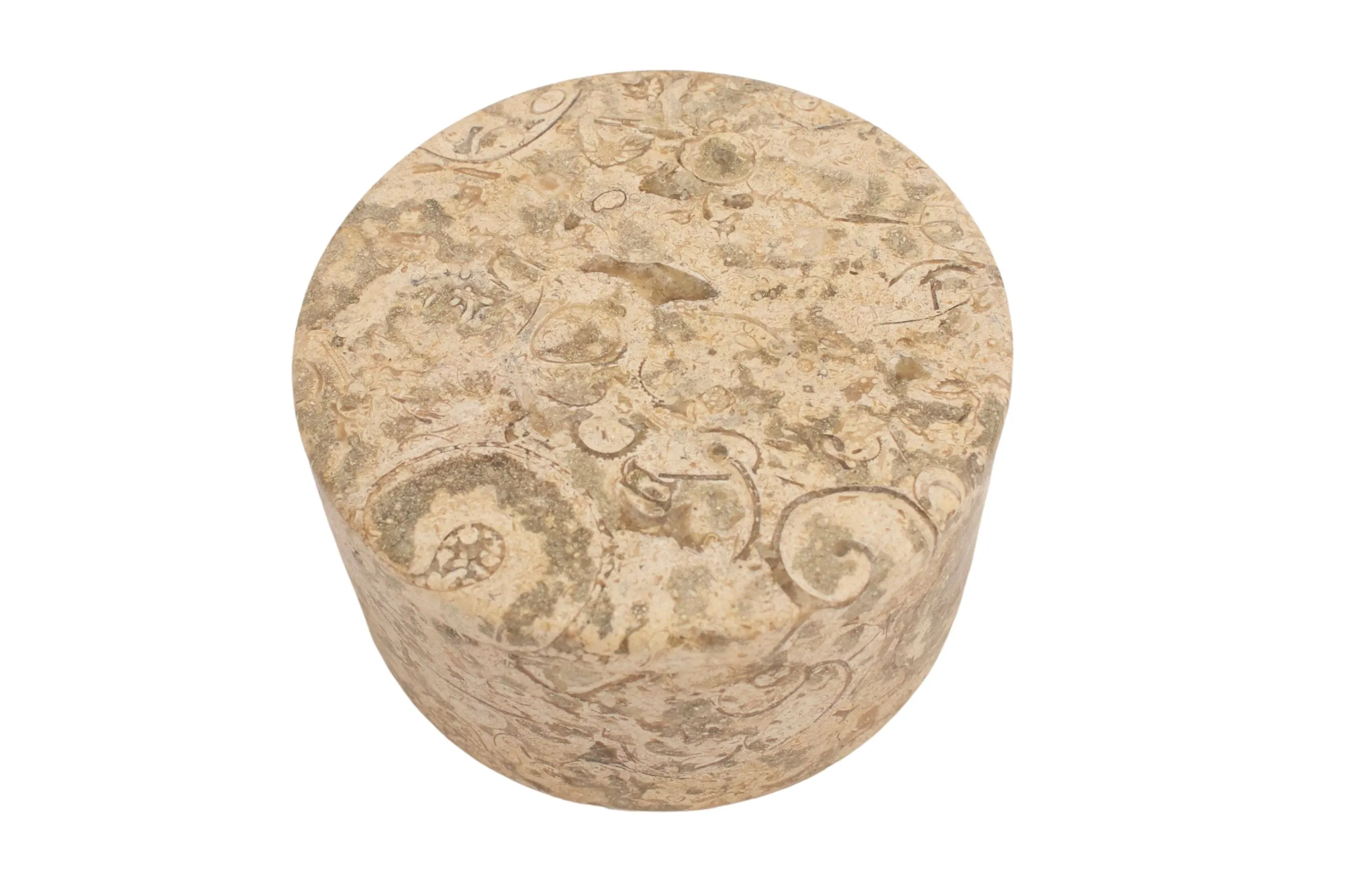 Fossil Stone Box - G3Q Designs - Beige