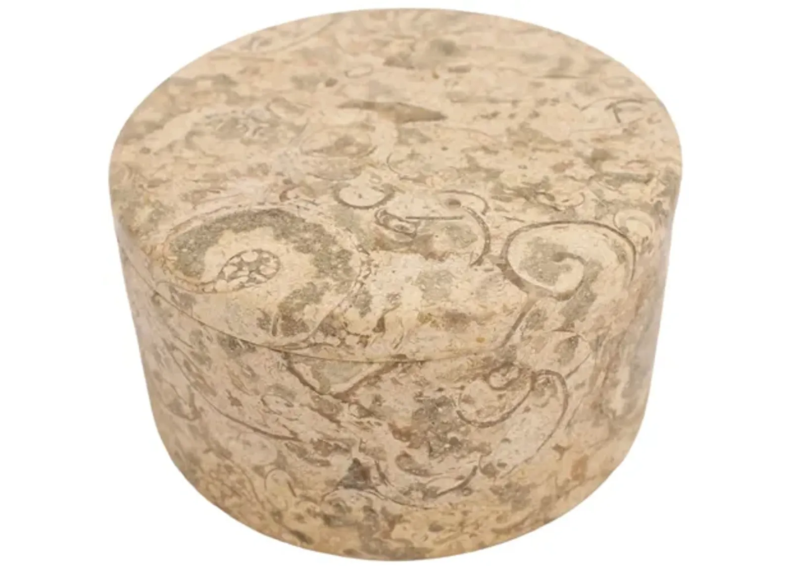 Fossil Stone Box - G3Q Designs - Beige