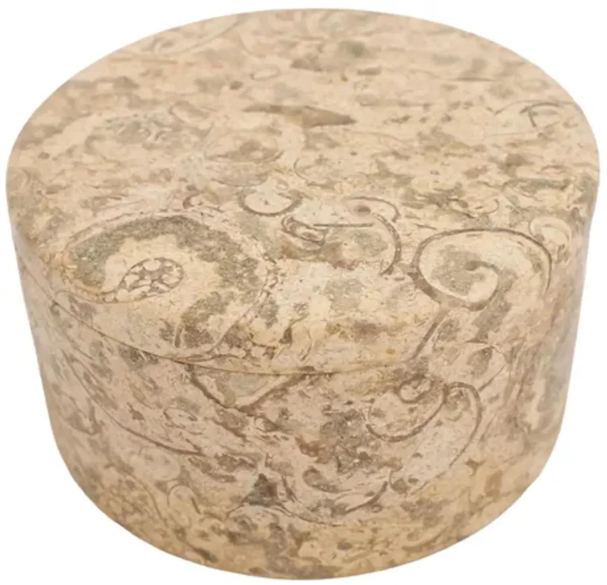 Fossil Stone Box - G3Q Designs - Beige