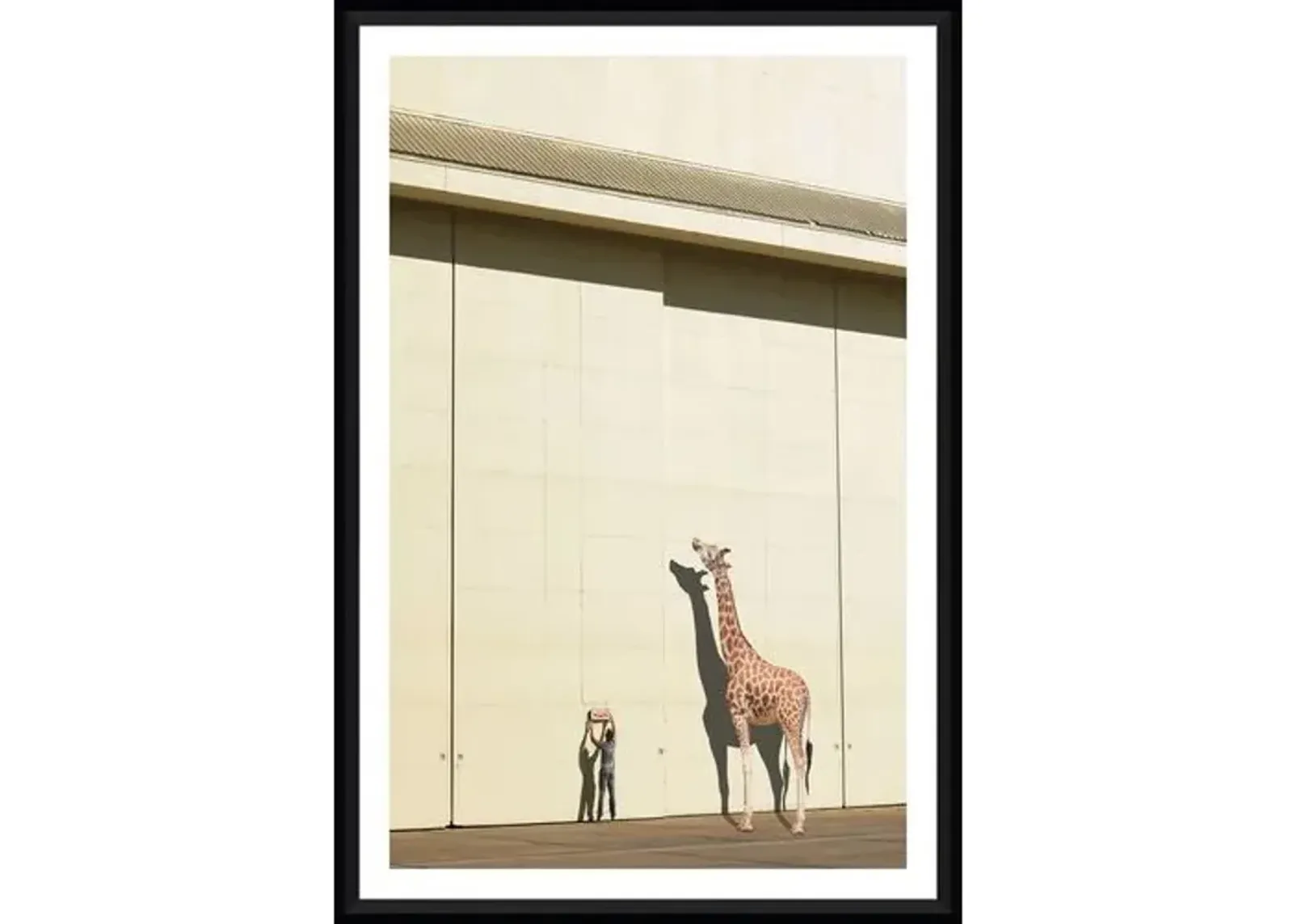 Richard Newstead - Curious Giraffe - Black