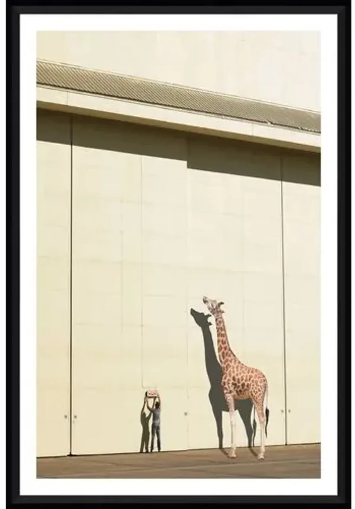 Richard Newstead - Curious Giraffe - Black