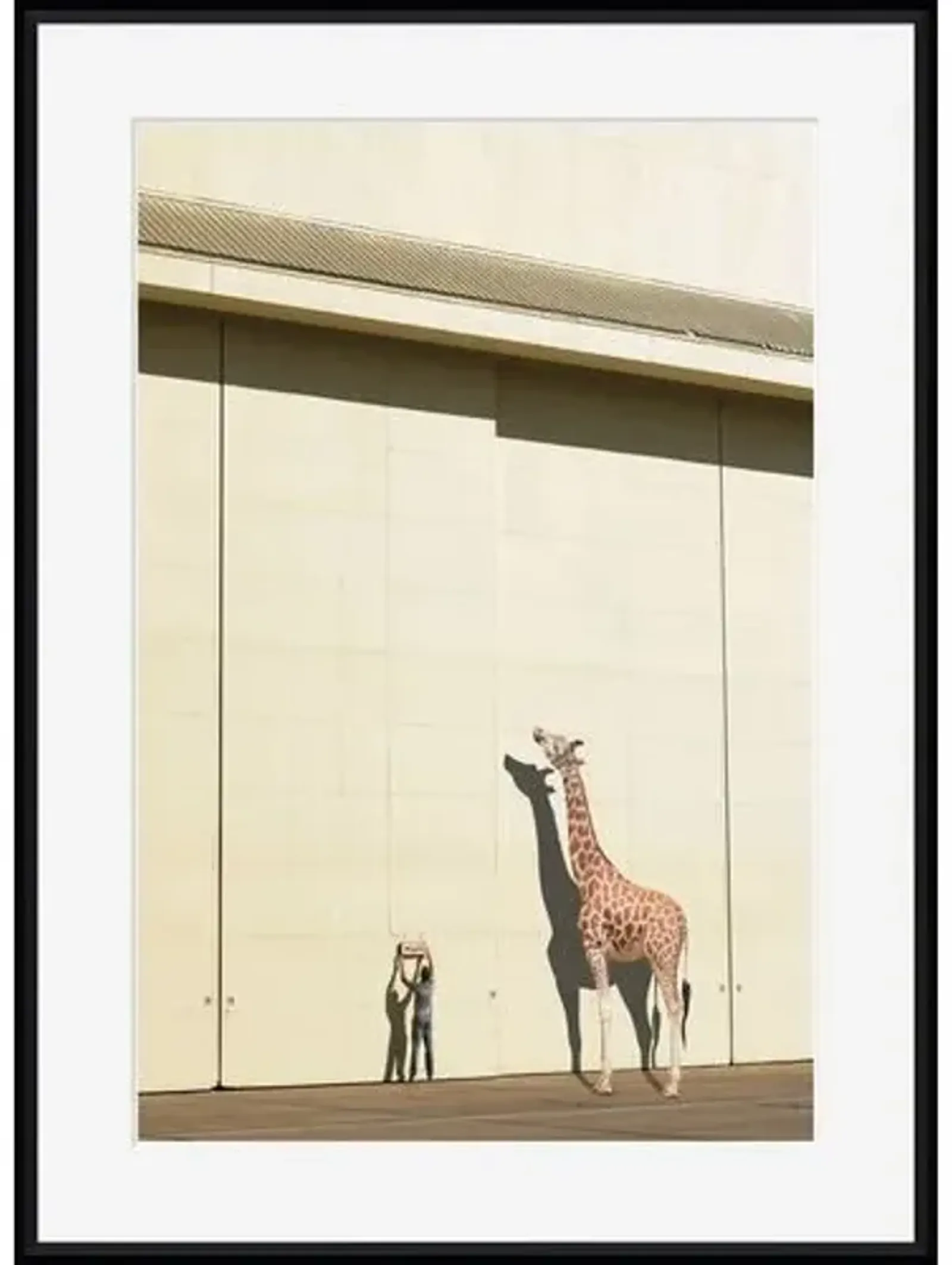 Richard Newstead - Curious Giraffe - Black