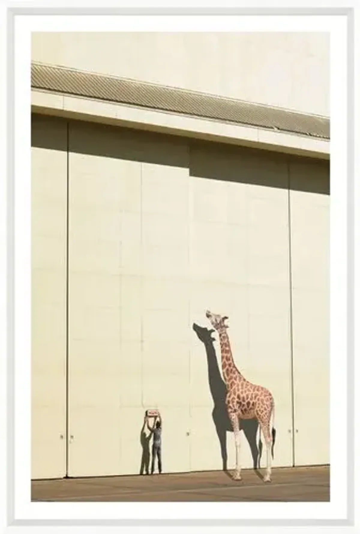 Richard Newstead - Curious Giraffe - White