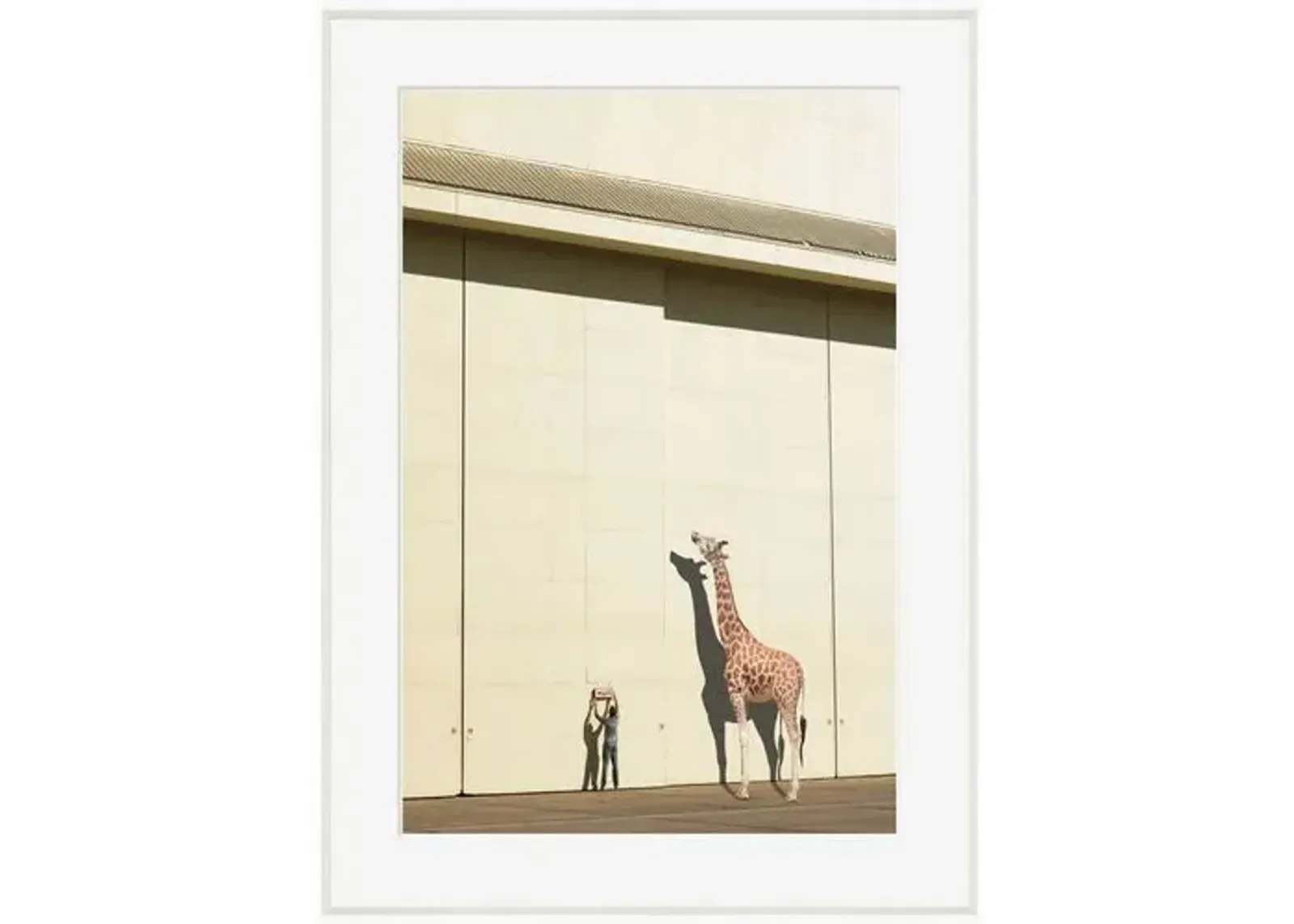 Richard Newstead - Curious Giraffe - White