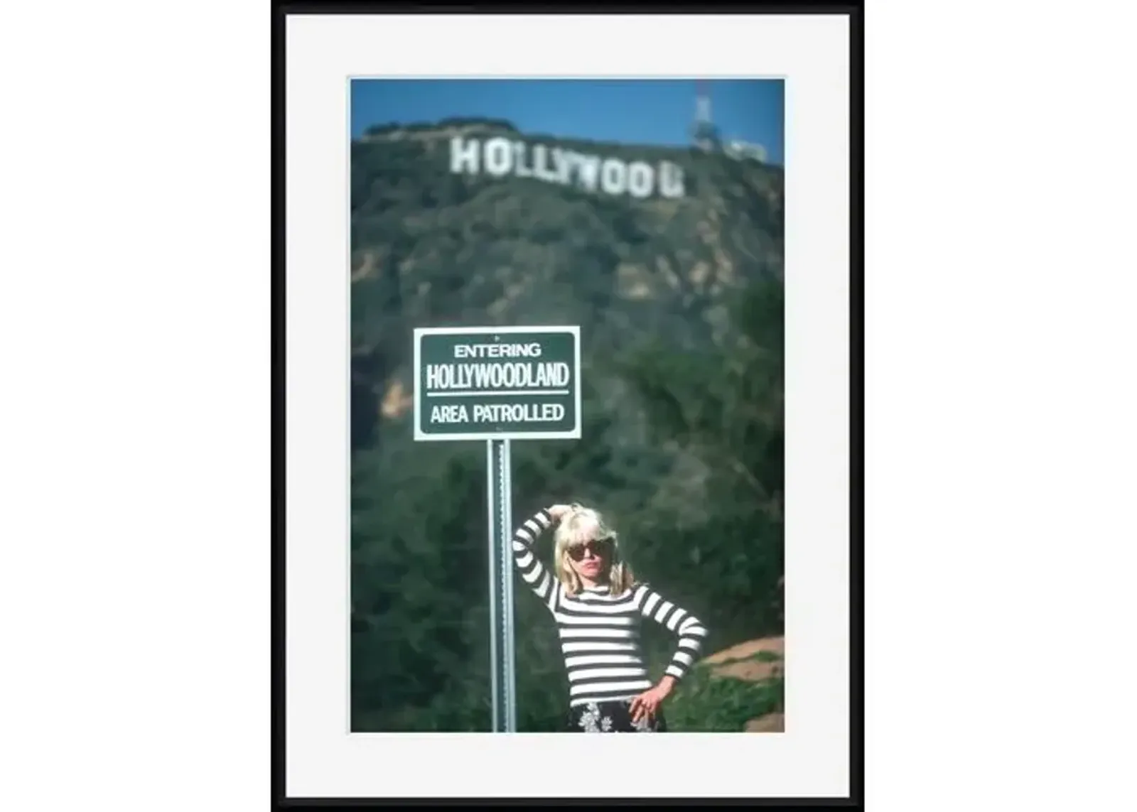 Blondie at the Hollywood Sign - Black