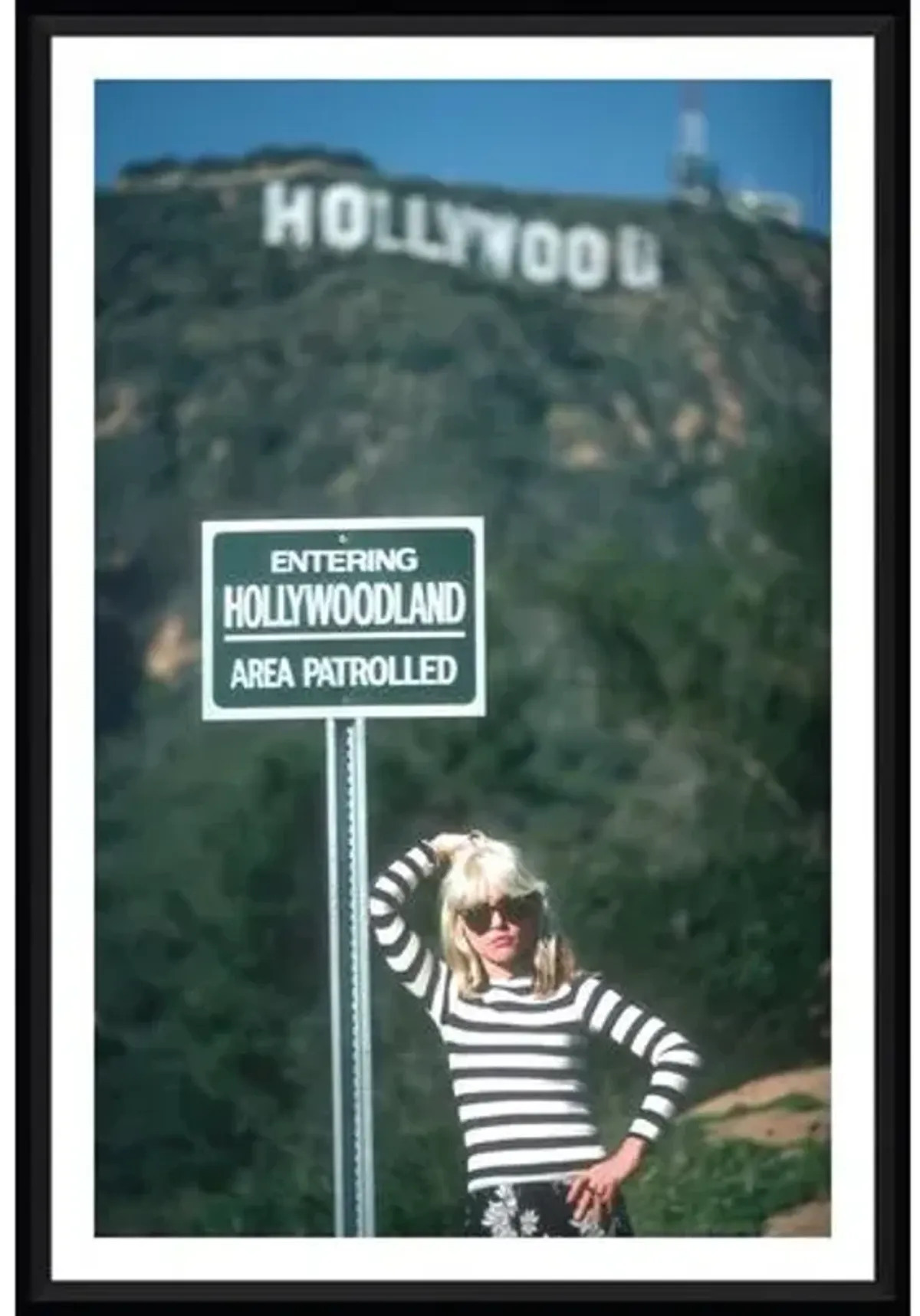 Blondie at the Hollywood Sign - Black