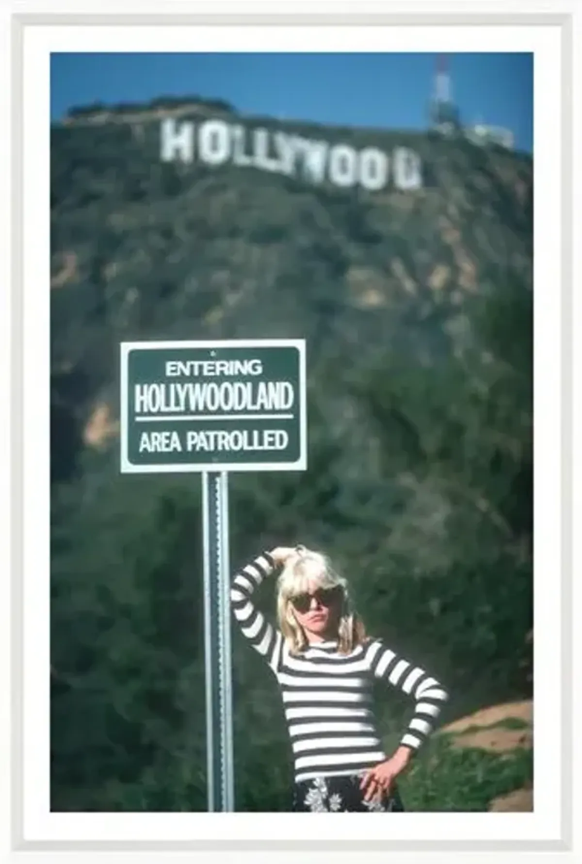 Blondie at the Hollywood Sign - White