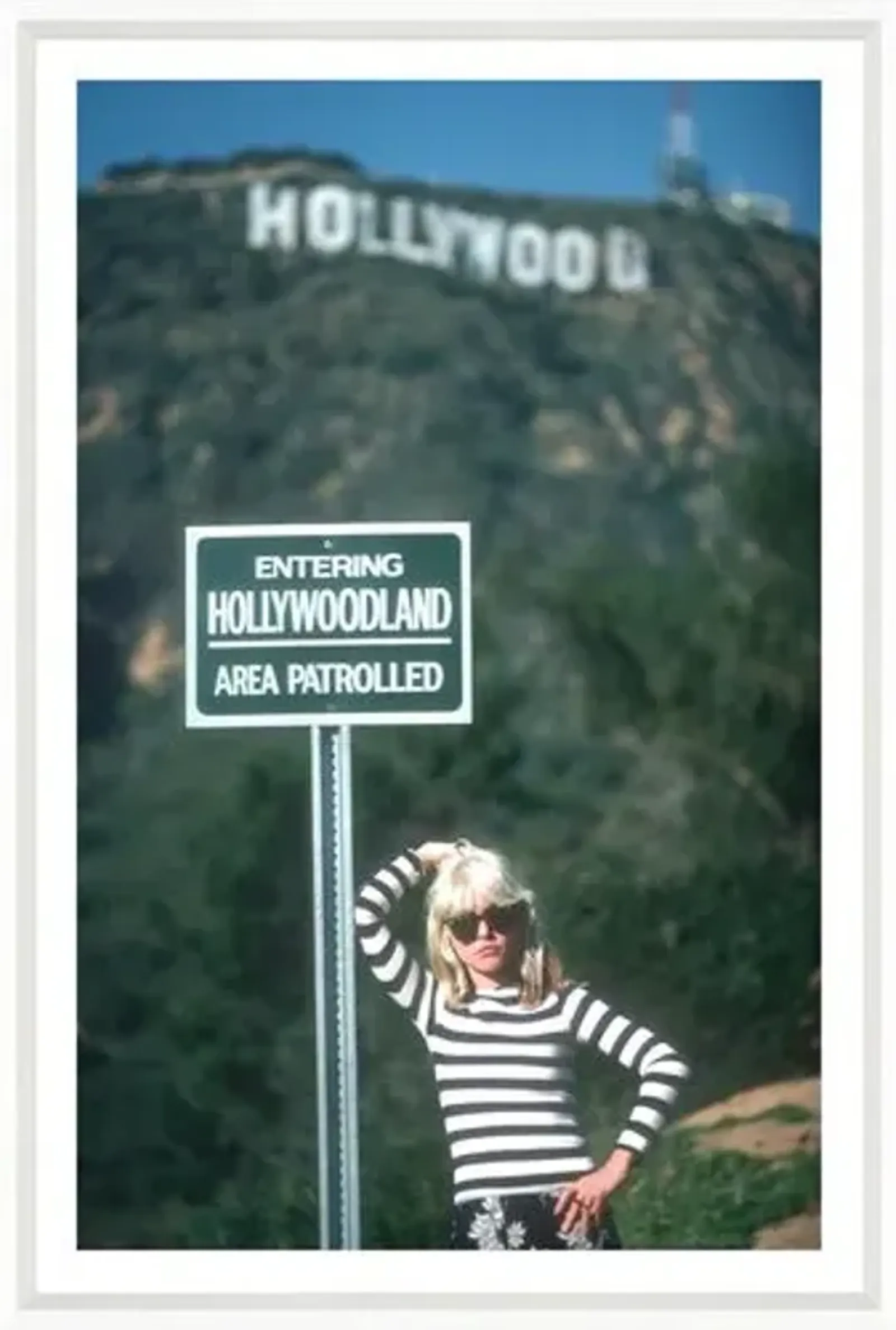 Blondie at the Hollywood Sign - White