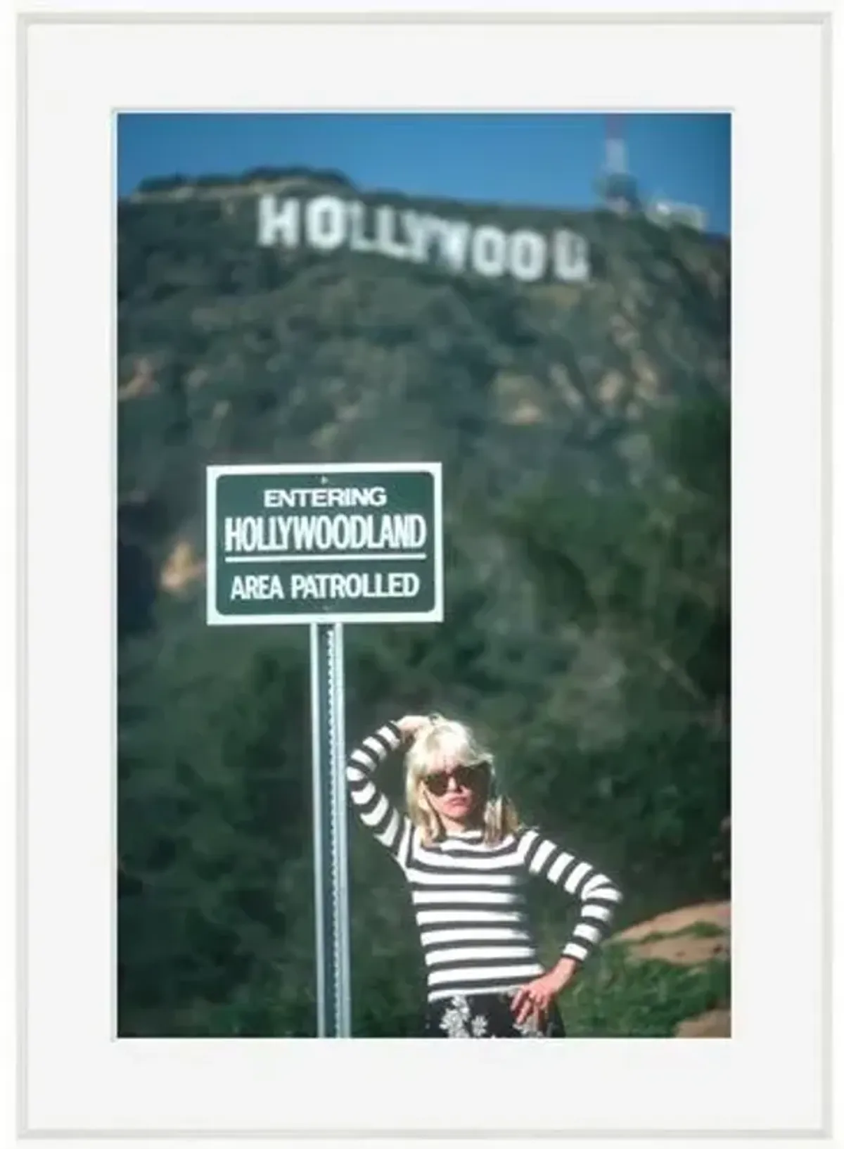 Blondie at the Hollywood Sign - White