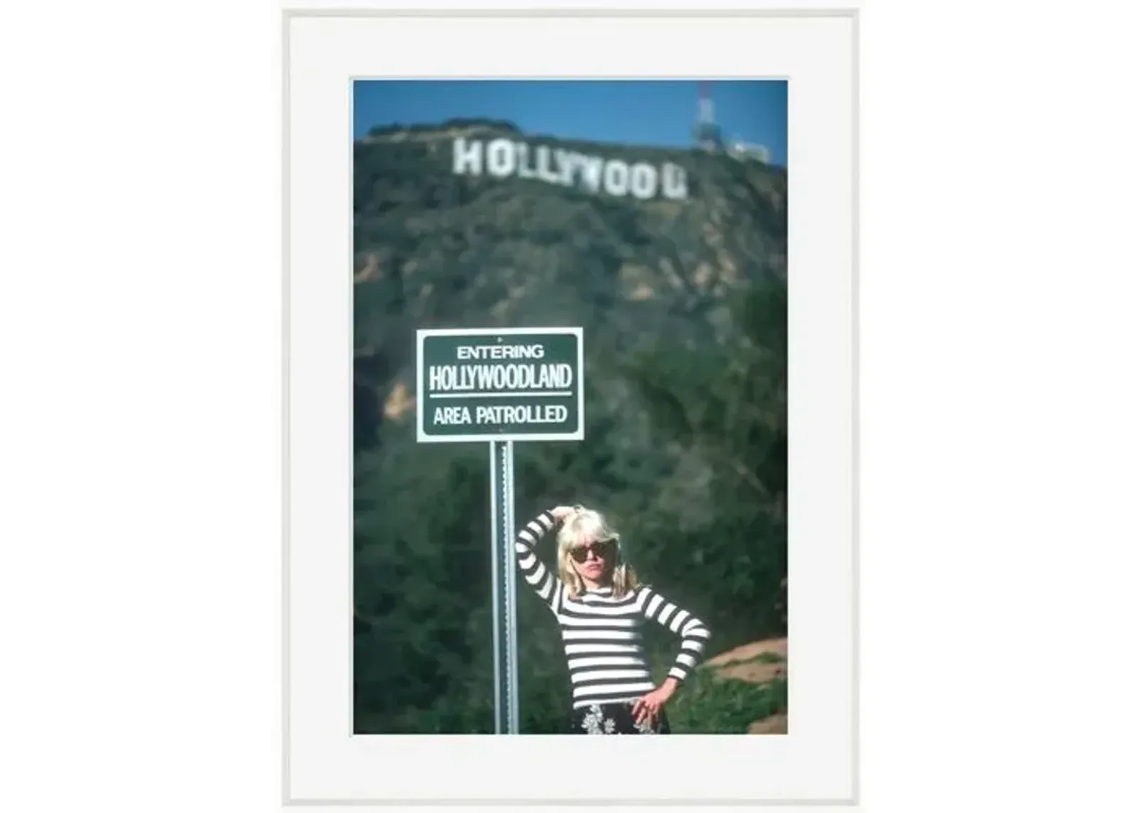 Blondie at the Hollywood Sign - White