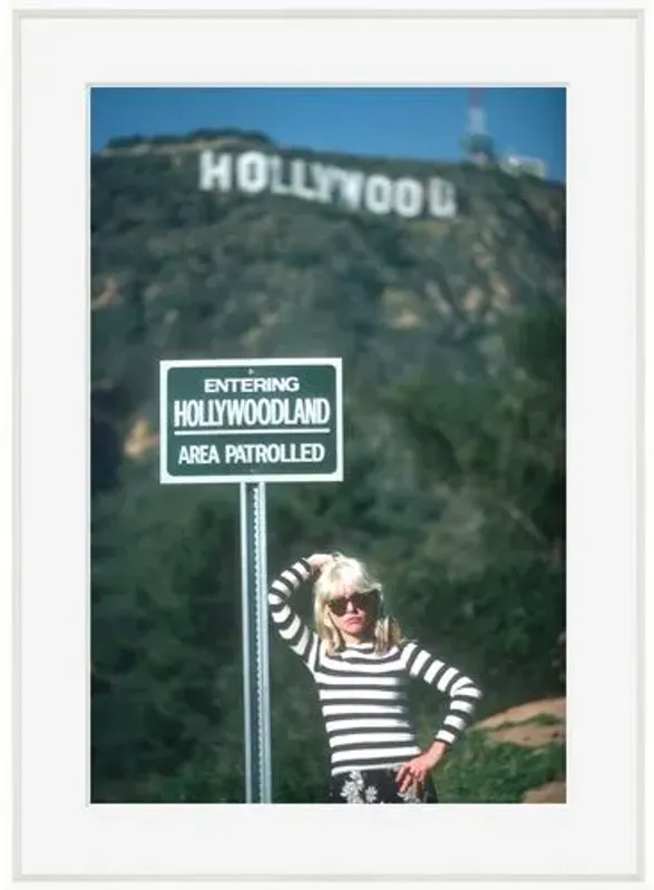 Blondie at the Hollywood Sign - White