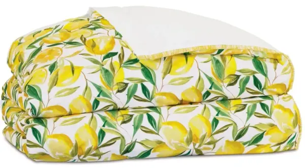 Meyer Mini Fringe Comforter, Yellow