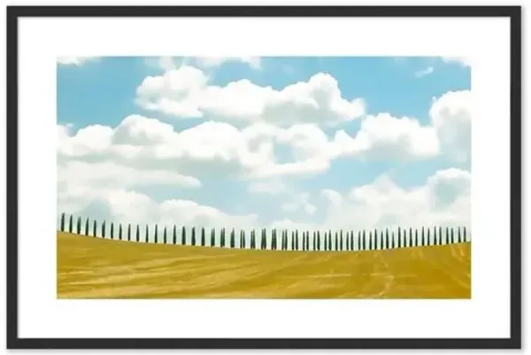 Judith Gigliotti - Tuscan Cypress Photograph - Black