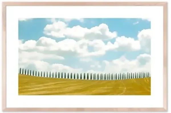 Judith Gigliotti - Tuscan Cypress Photograph - Beige