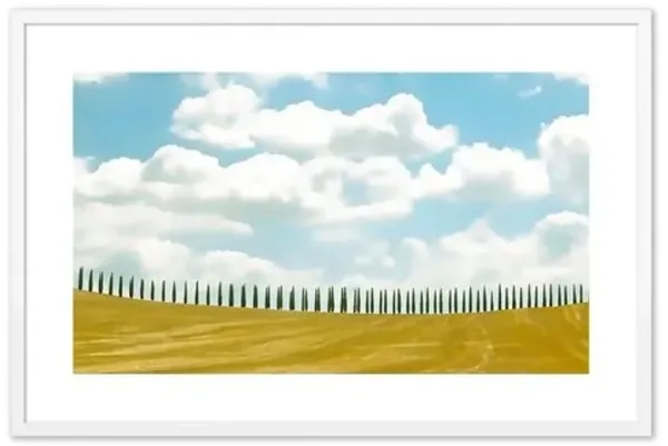 Judith Gigliotti - Tuscan Cypress Photograph - White