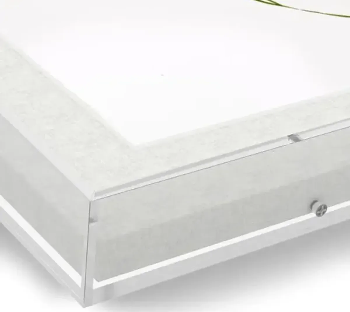 Thomas Little - Forest Green Still Life Painting in Acrylic