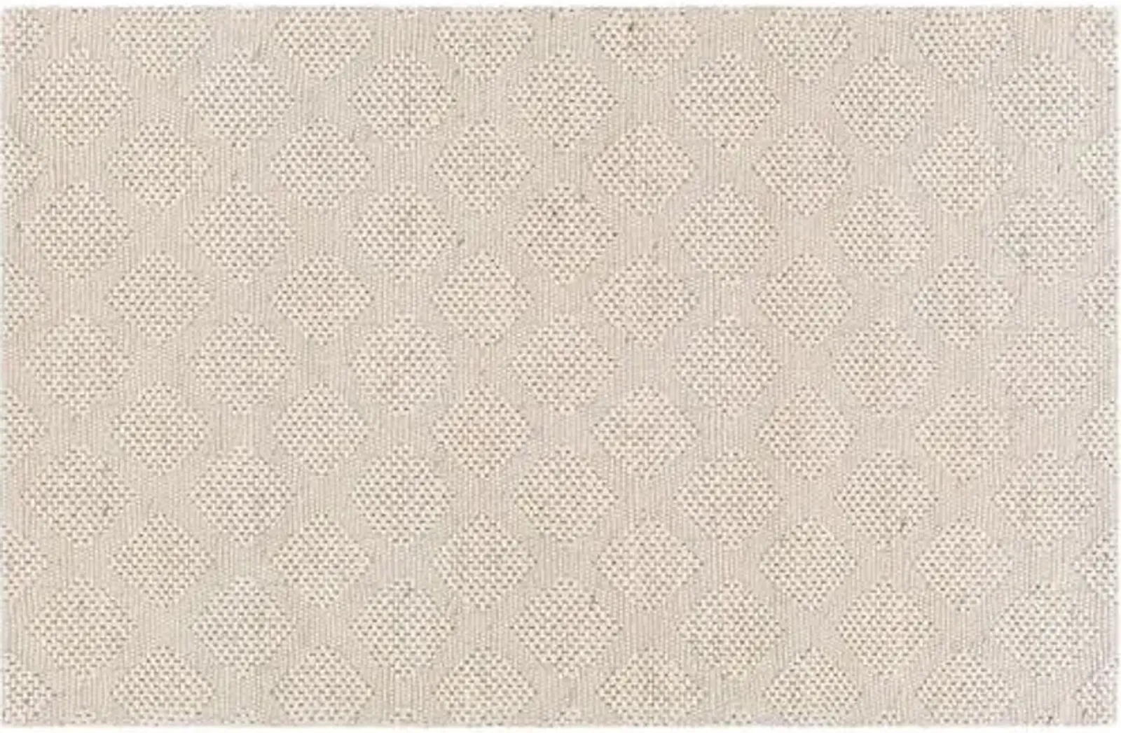 Sayville Handwoven Rug - Cream/Black - Ivory - Ivory