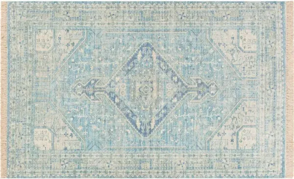 Lisa Handwoven Rug, Sky Blue/Sage