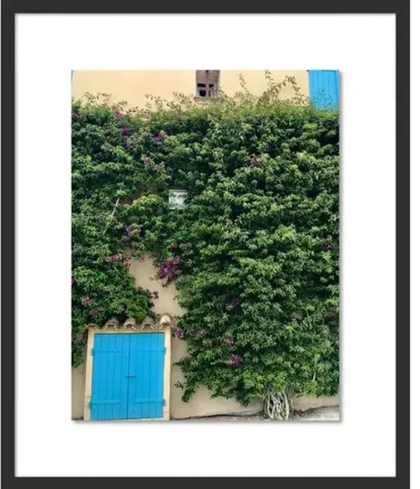 Alison Stager - Vines of St. Tropez Photograph