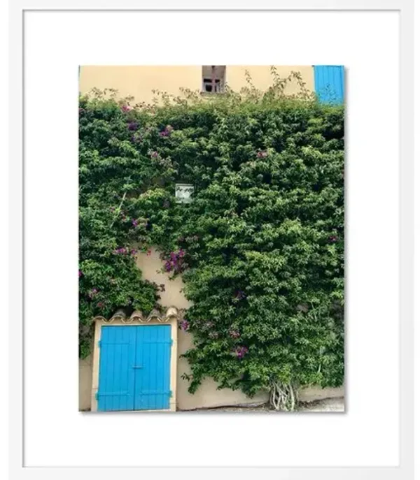 Alison Stager - Vines of St. Tropez Photograph