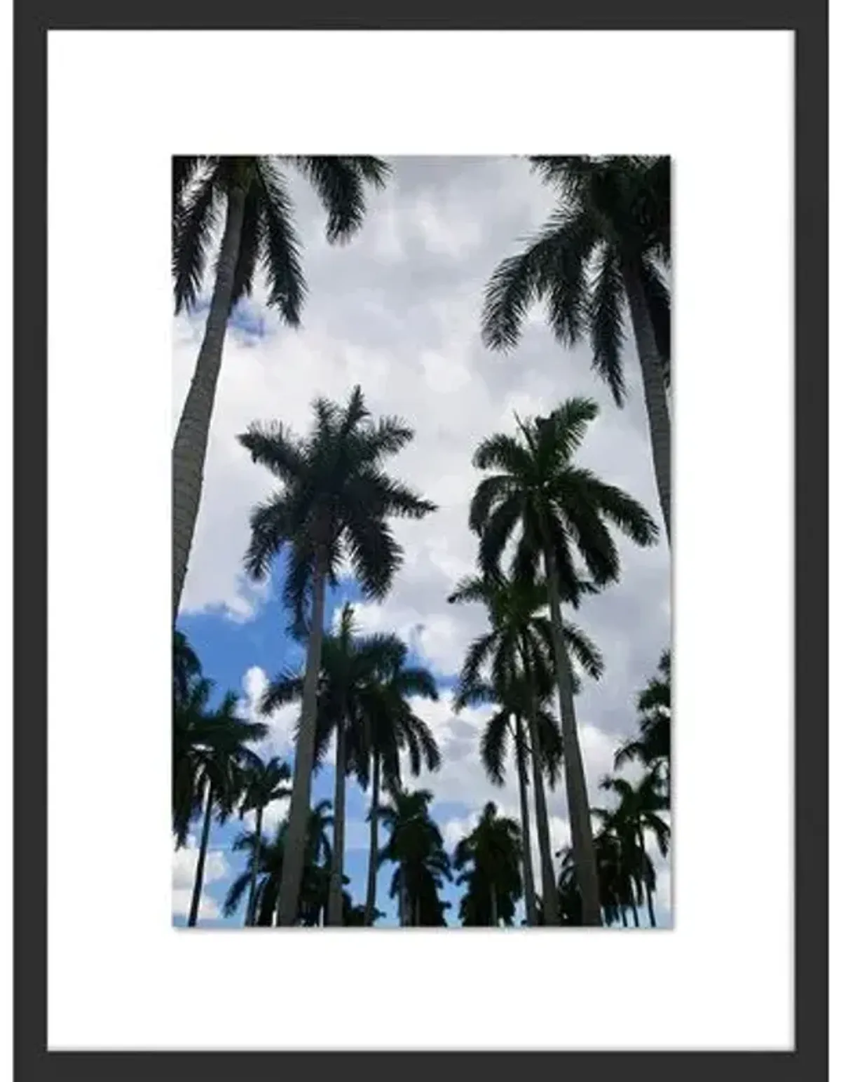 Alison Stager - Welcome to the ISL - Palm Beach II Photograph