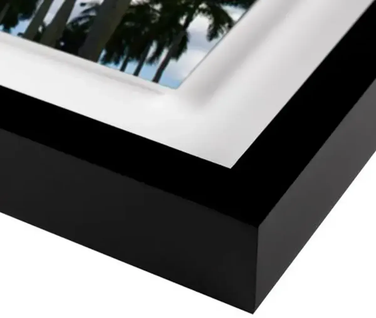 Alison Stager - Welcome to the ISL - Palm Beach II Photograph