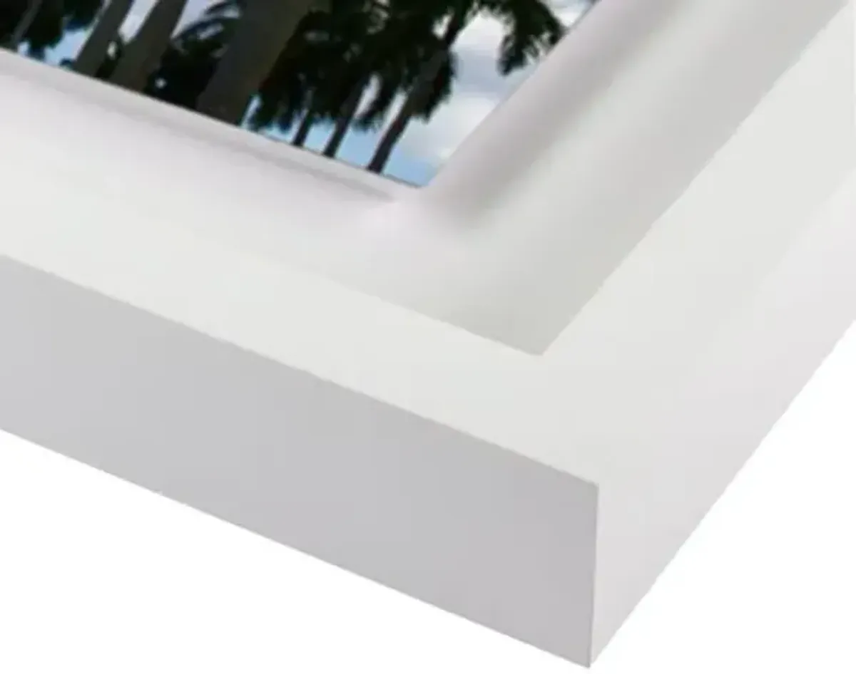 Alison Stager - Welcome to the ISL - Palm Beach II Photograph