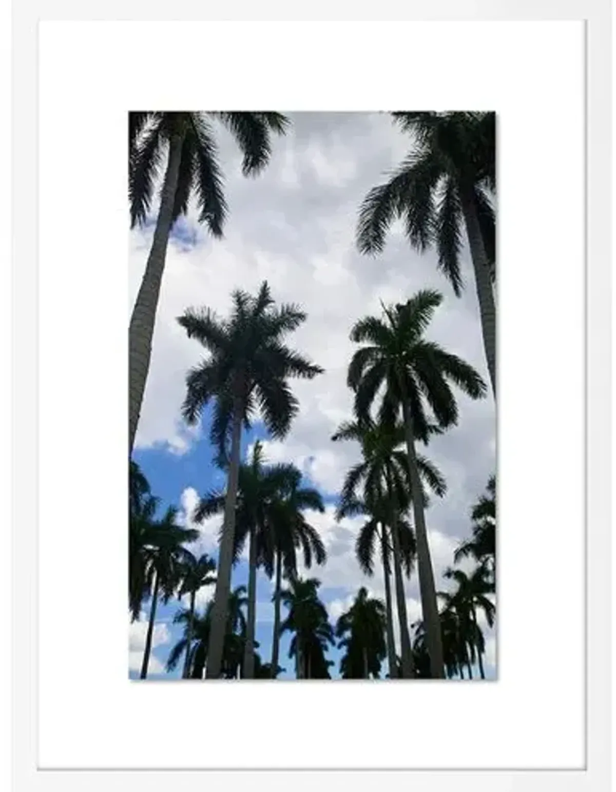Alison Stager - Welcome to the ISL - Palm Beach II Photograph