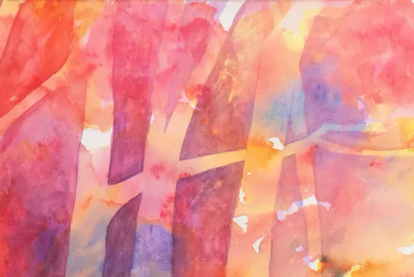Sunset Trees by Catherine Hareid - McNaught Fine Art - Pink