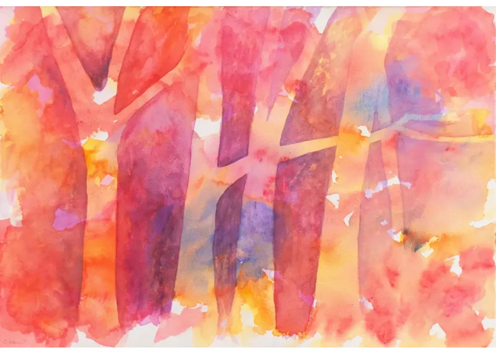 Sunset Trees by Catherine Hareid - McNaught Fine Art - pink