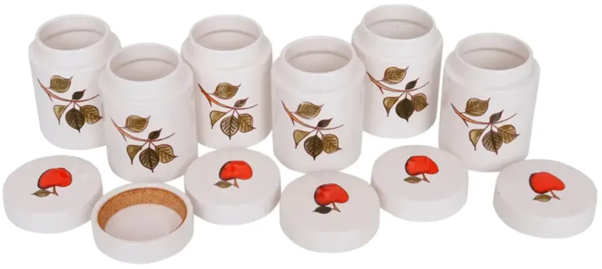 Red Apple Ceramic Spice Jars - Set of 6 - Interesting Things