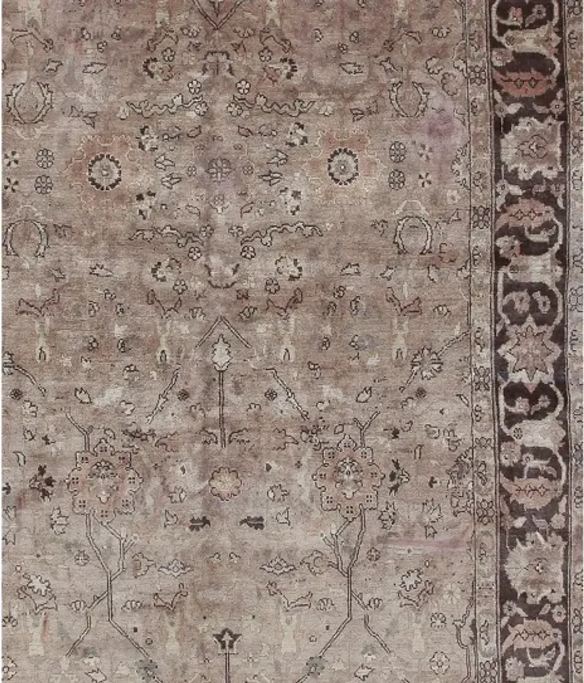 Turkish Taupe Sivas Rug - 5'6 X 8'3 - Beige - Beige