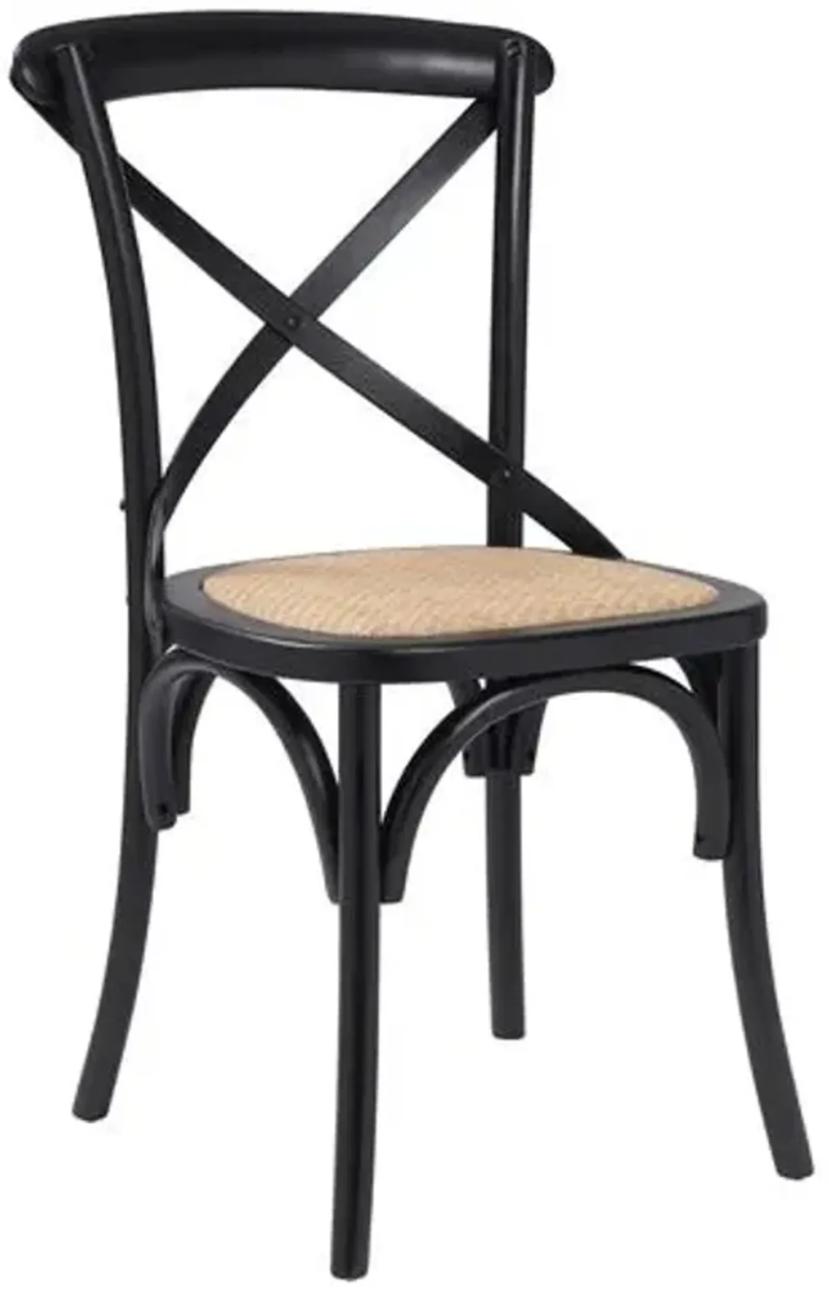 Set of 2 Alonzo Rattan Side Chairs - Black