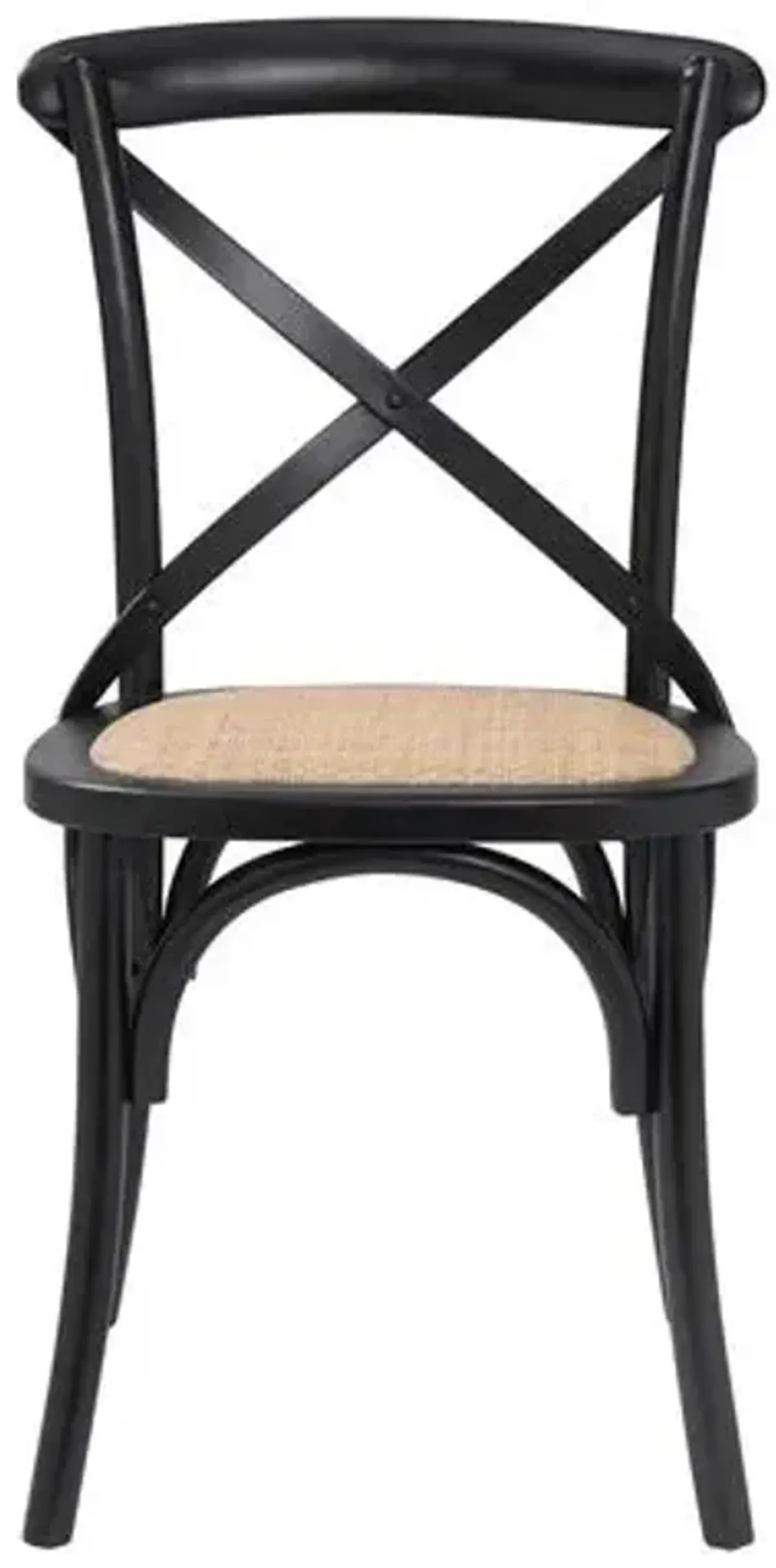 Set of 2 Alonzo Rattan Side Chairs - Black