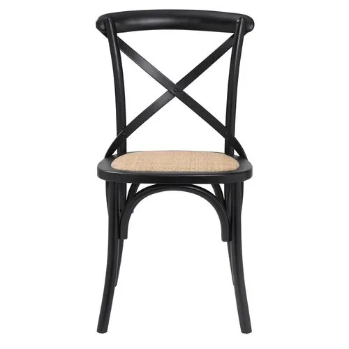 Set of 2 Alonzo Rattan Side Chairs - Black