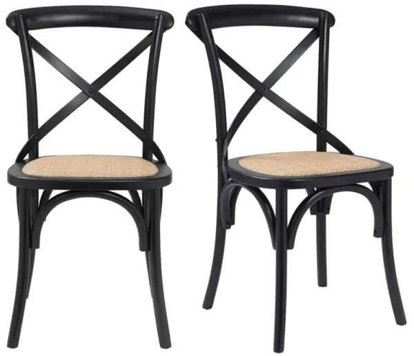 S/2 Alonzo Rattan Side Chairs, Black