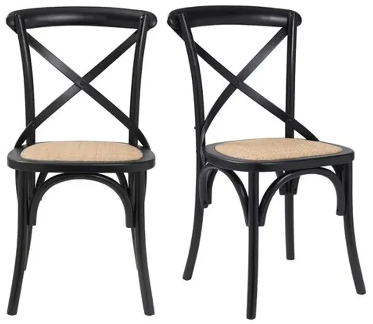 Set of 2 Alonzo Rattan Side Chairs - Black