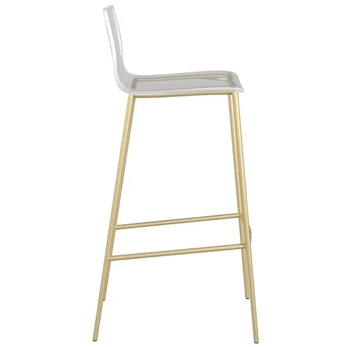 Set of 2 Dion Acrylic Barstools - Brushed Gold - Clear
