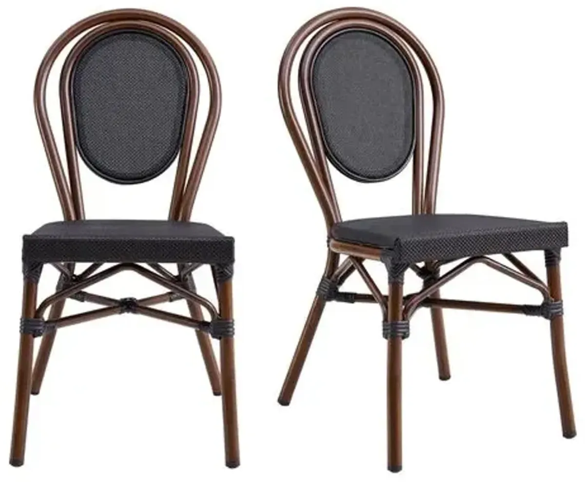 Set of 2 Joel Outdoor Side Chairs - Black/Brown