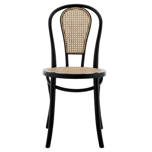 Set of 2 Wade Rattan Side Chairs - Matte Black