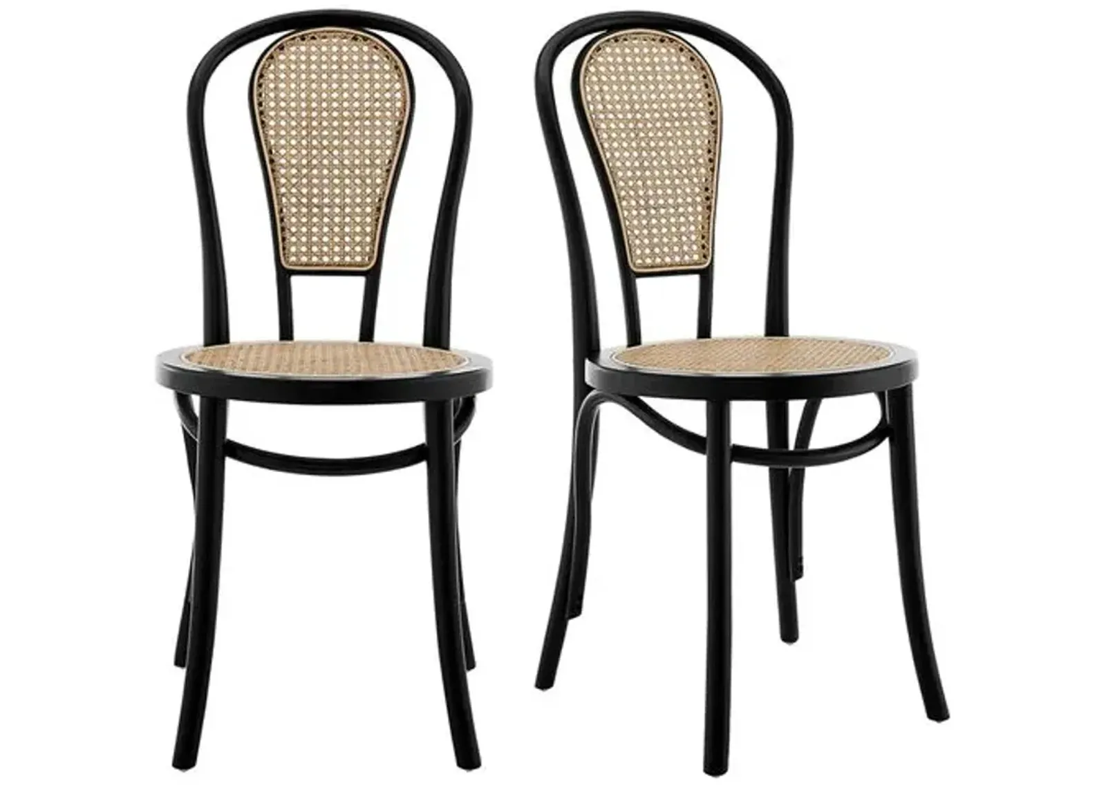 Set of 2 Wade Rattan Side Chairs - Matte Black